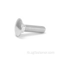 Din603 Edelstongs Champignon Head Square Hals Bolt